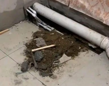 青岛市卫生间漏水检测哪家好