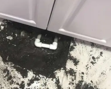 青岛市查漏水哪家好